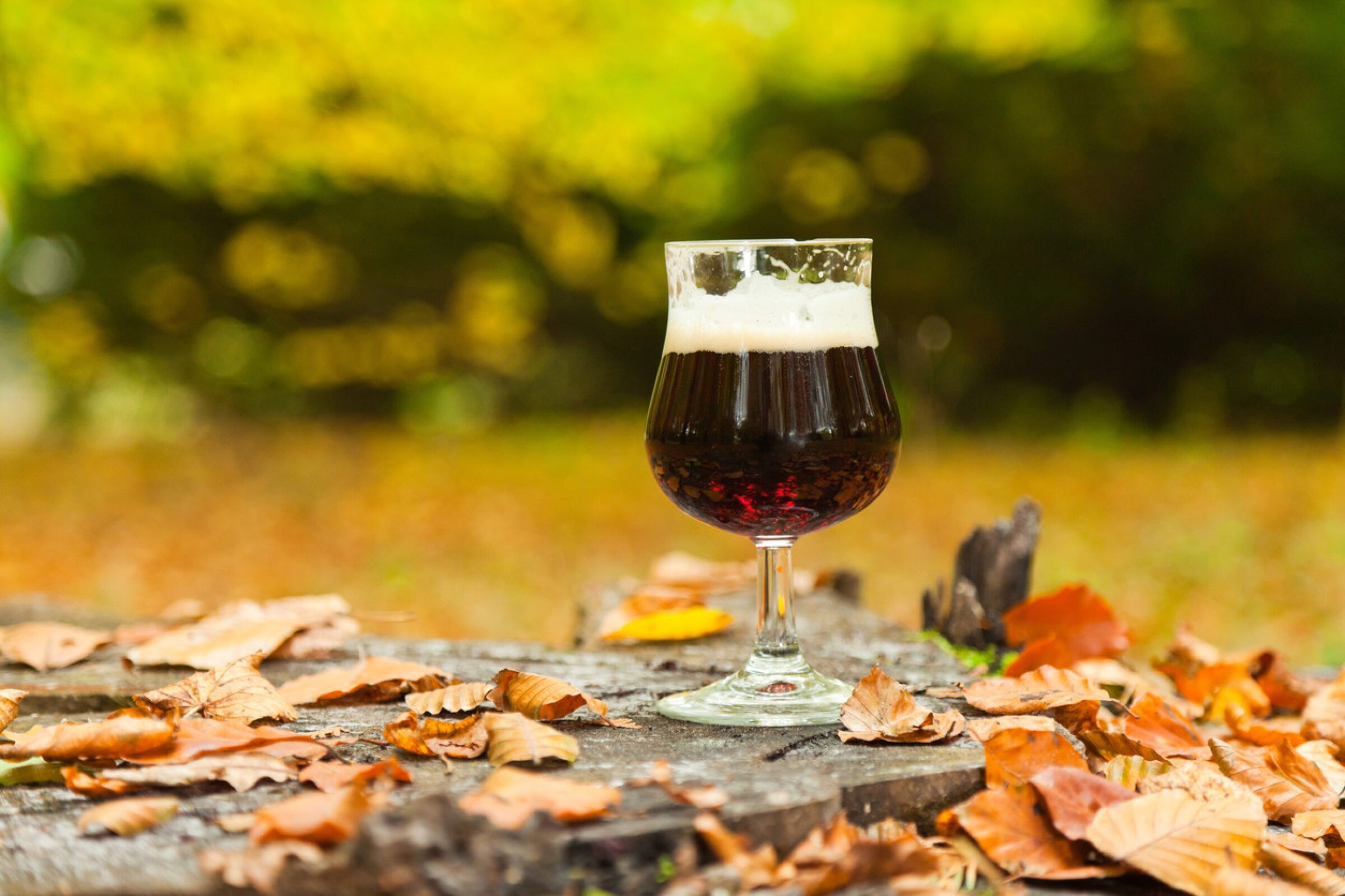 As the leaves fall from the trees, San Diegans begin cozying up to darker, fall flavored brews.