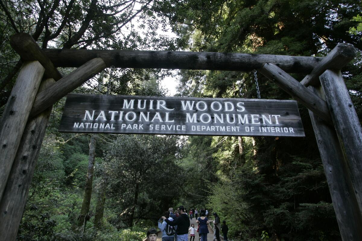 Muir Woods