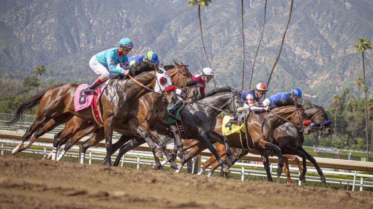 Horses race at Santa Anita on March 29. Twenty-nine thoroughbreds have died at the track since Dec. 26.