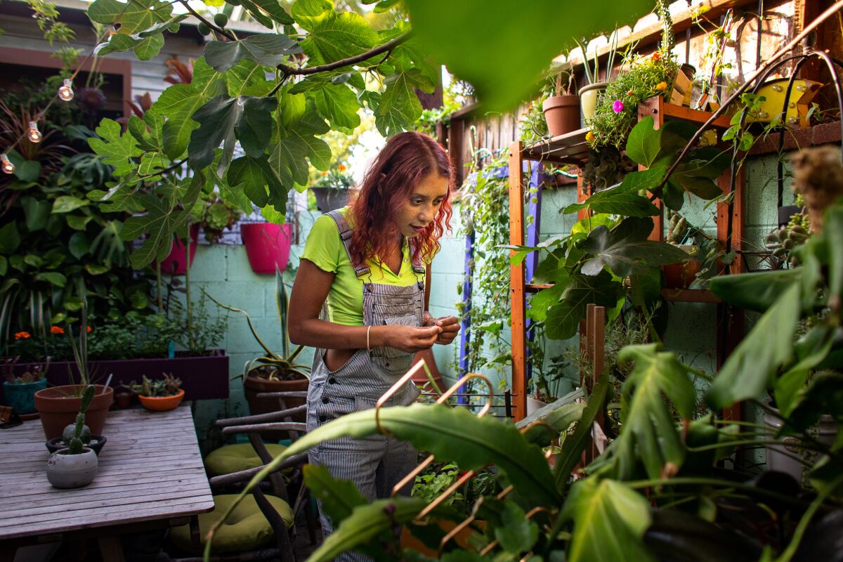 Chantal Aida Gordon inspects plants in her patio garden. 