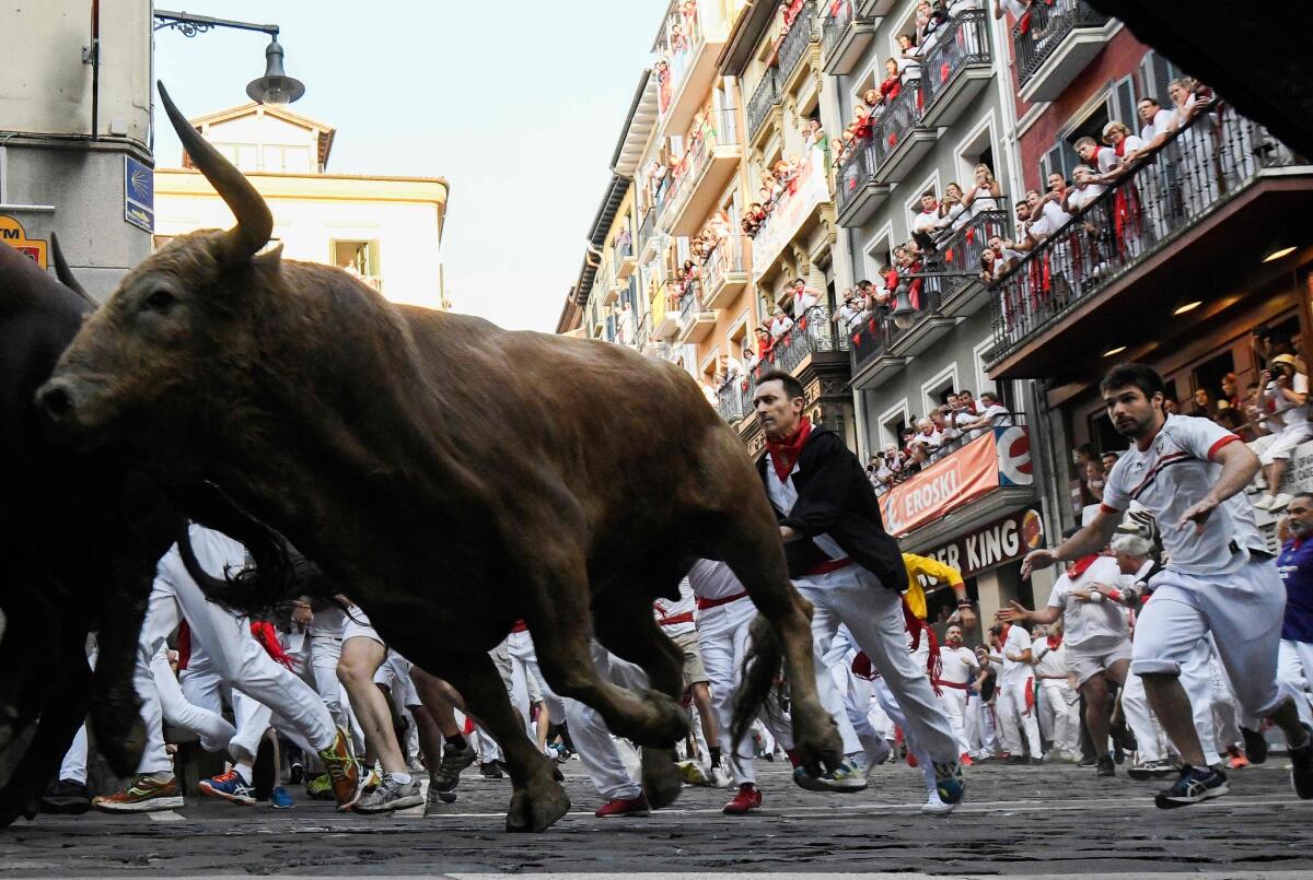 Participants run next to Fuente Ymbro fighting bulls on the fourth run of the San Fermin festival in Pamplona, Spain.