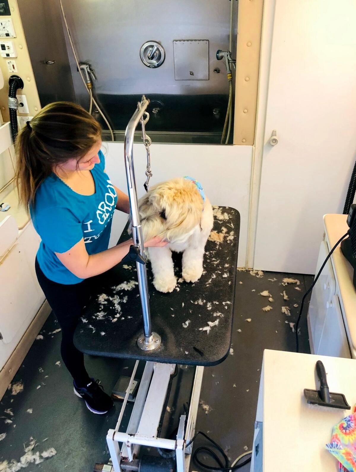 Savanna Fluter, owner of Grooming for Good, at work trimming one of her dog clients.