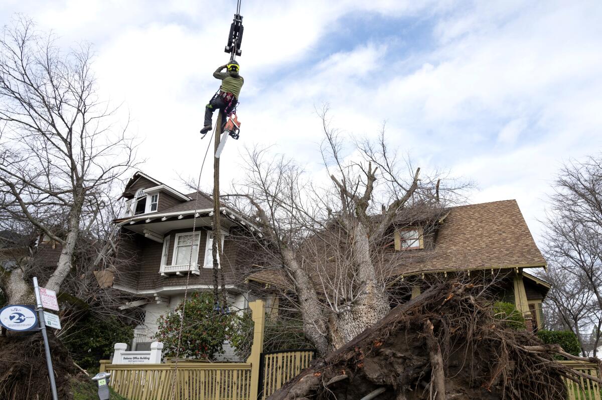 A crane lifts a worker to inspect a house that was damaged by a toppled tree.