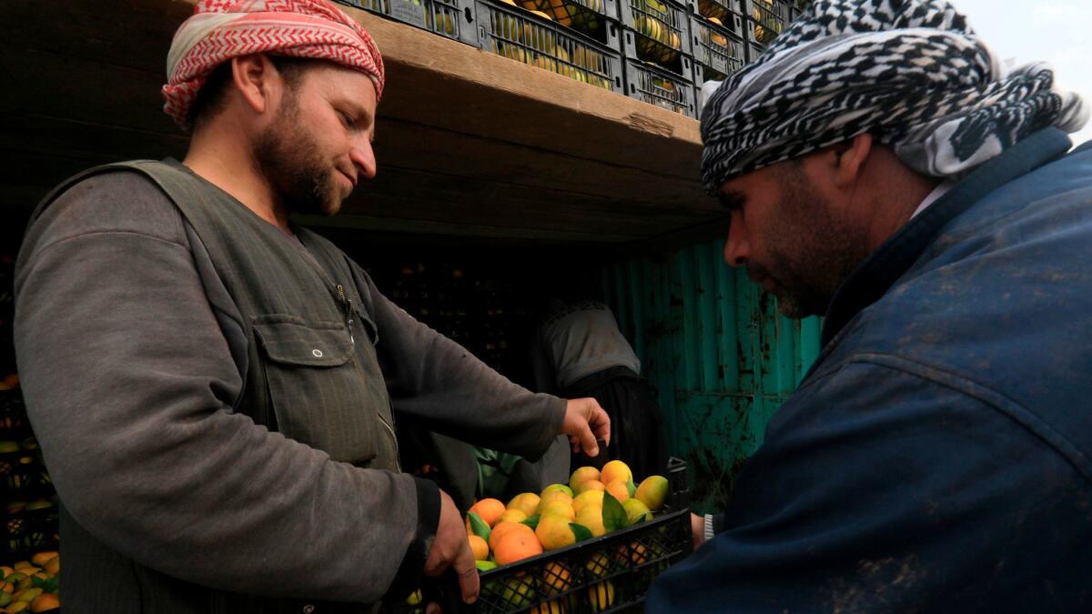 Syrian Kurds load fruit onto a truck headed from Syria's northeastern Kurdish area into Iraq's Kurdistan region.