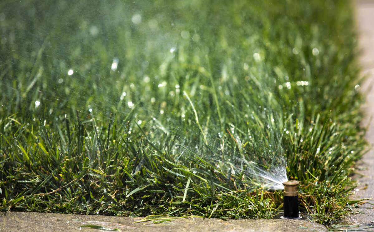 A lawn is watered by a sprinkler