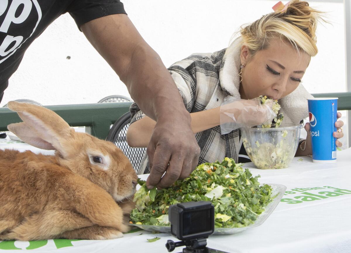 A woman stuffs salad in her mouth next to a rabbit in front of a large plate of lettuce