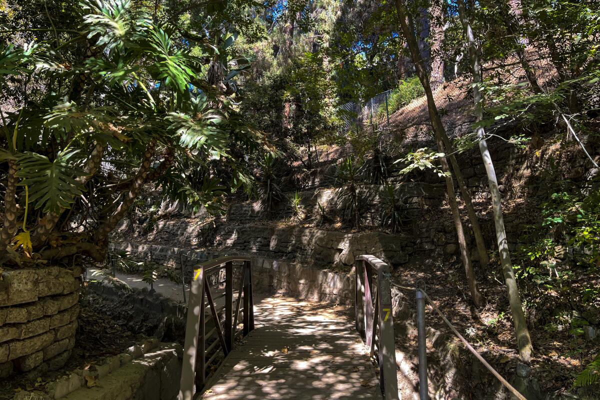 The Fern Dell Trail for the amazing places in L.A. that you can get to using public transit POI.