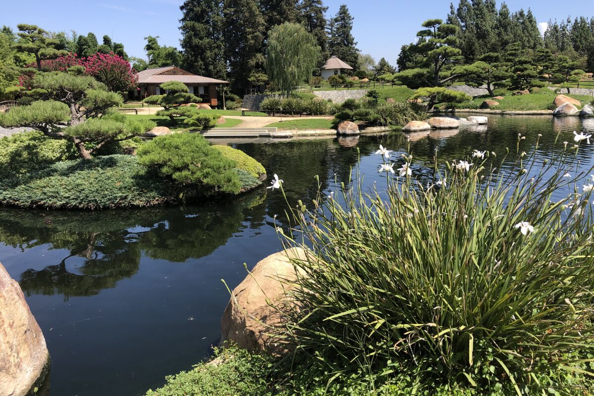 lake in a Japanese garden 