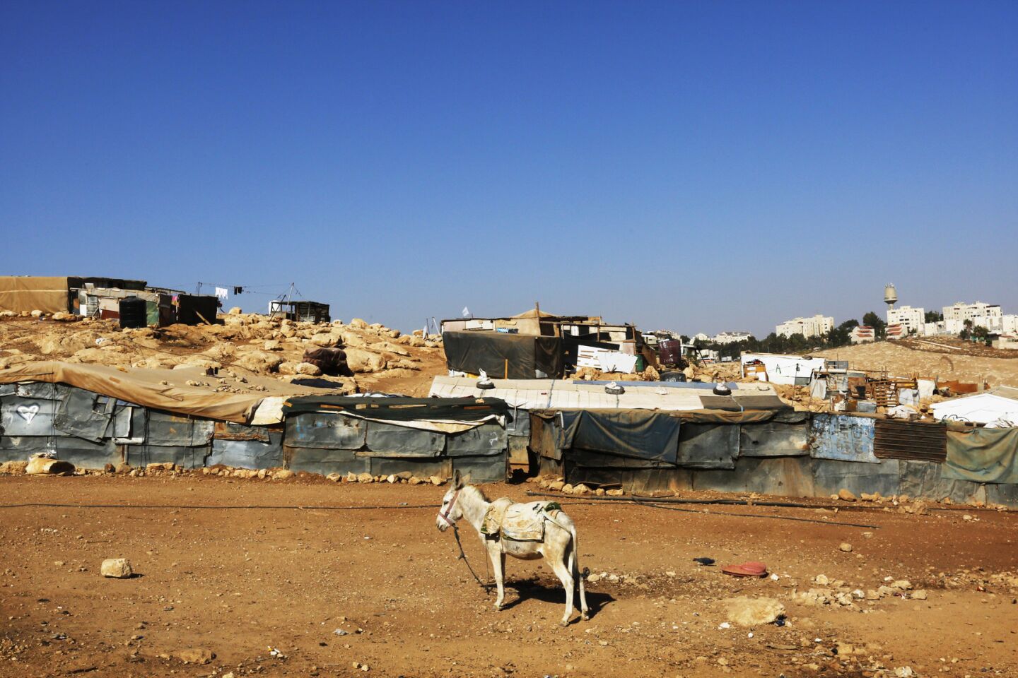 West Bank Bedouins