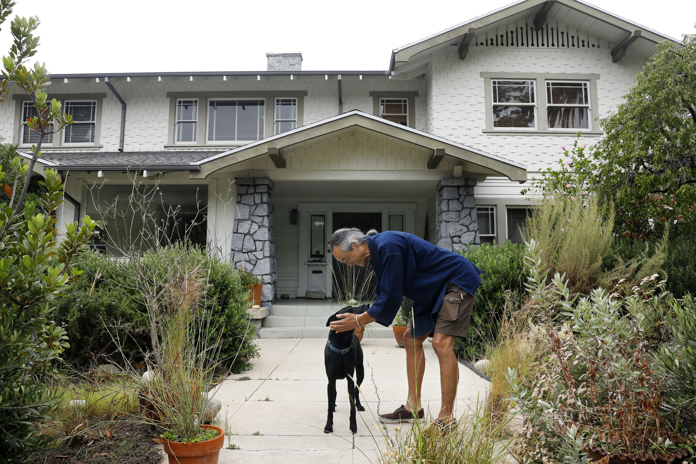 A man bends over to pet a medium-sized black dog in front of a house with wild-looking plants in the yard.