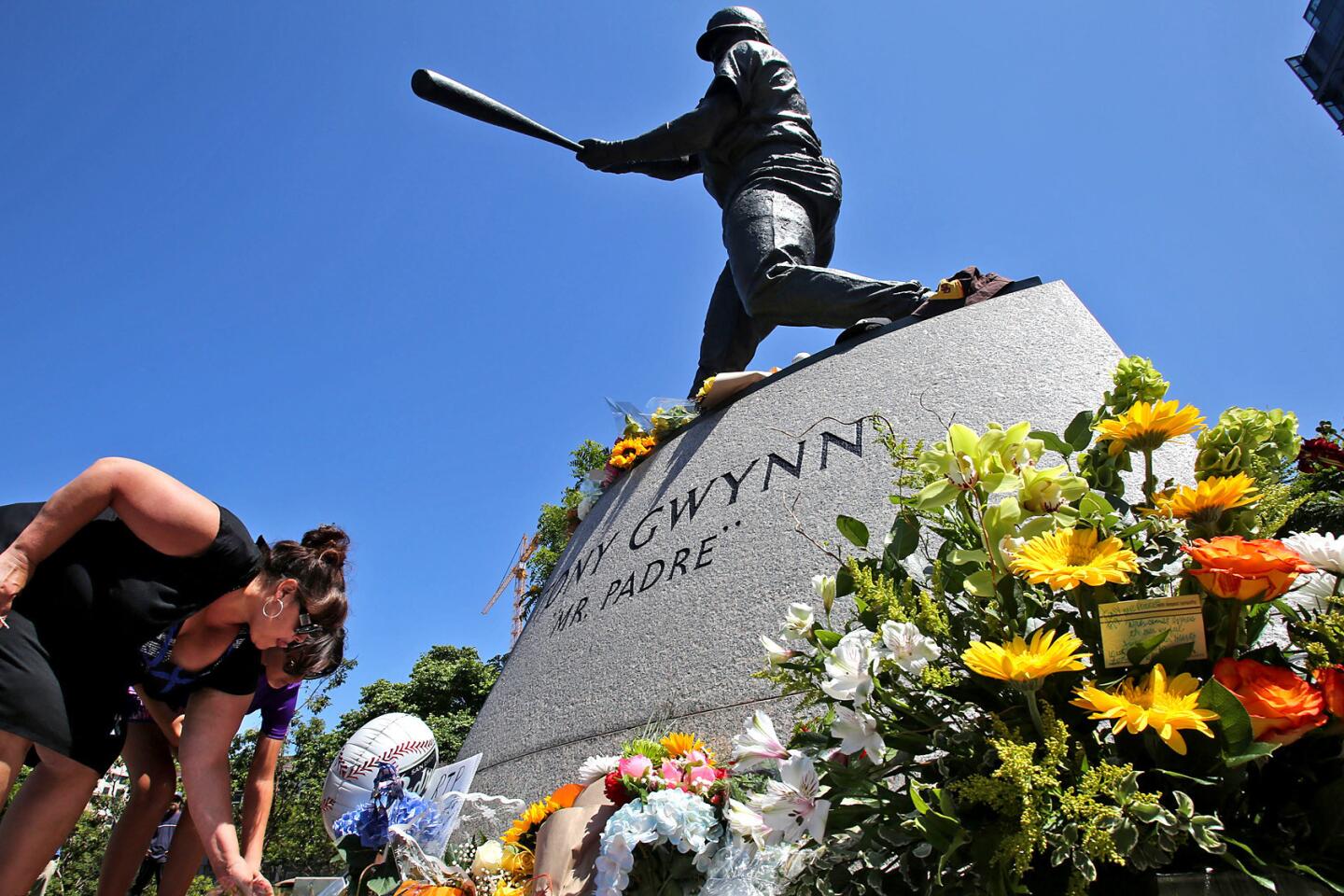 Hall of Famer Tony Gwynn, Padres' wizard with a bat, dies at 54, Notable  Obituaries
