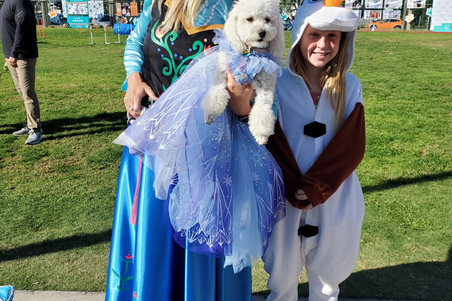 dog-ween-frozen.jpg