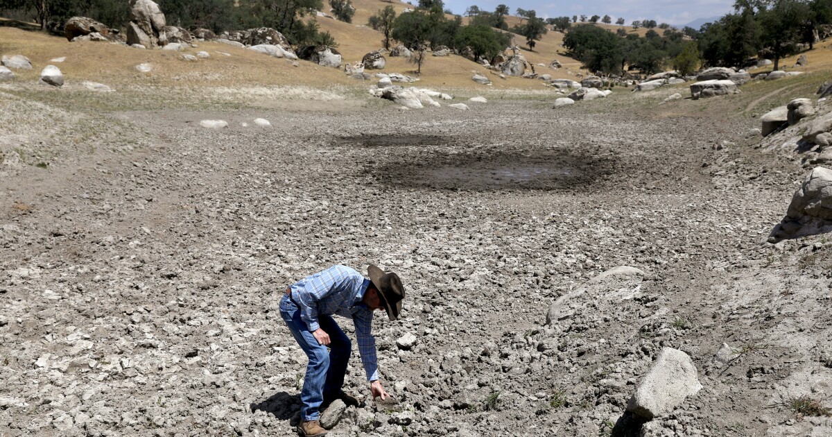 Skelton: California menghabiskan miliaran untuk proyek air