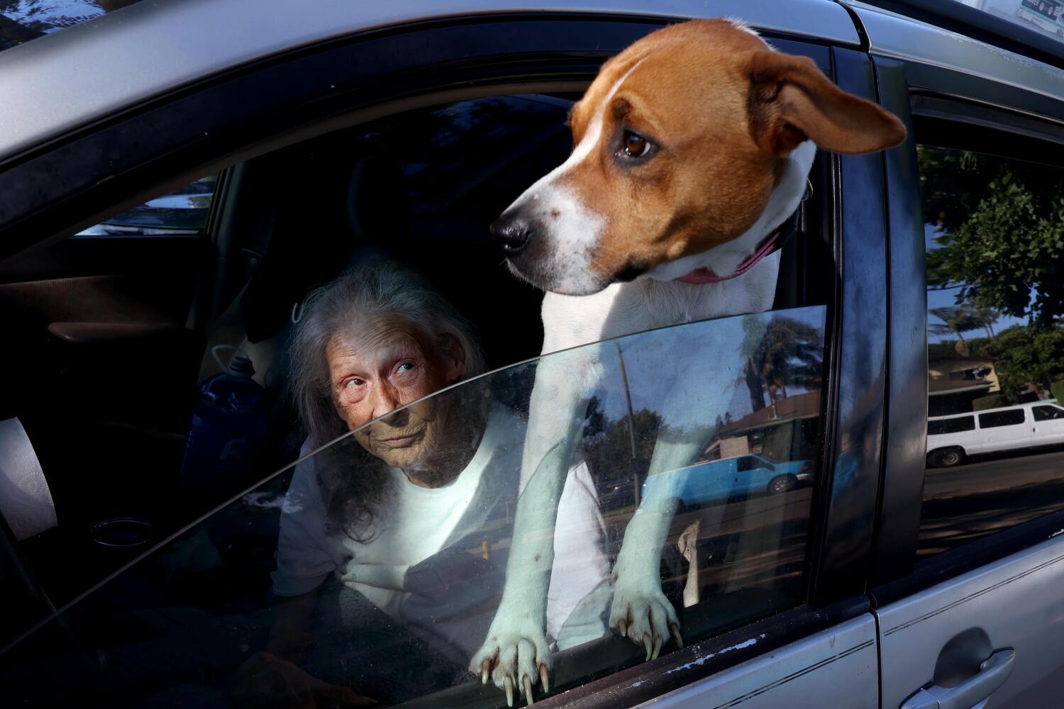 Homelessness has declined in L.A. County. Funding cuts threaten that progress.