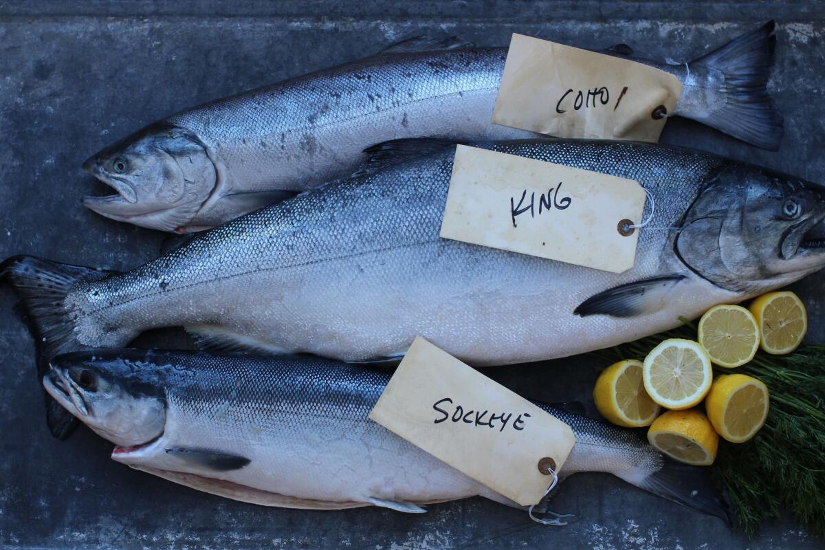 Wild-caught salmon is generally a "Best Choice" or "Good Alternative," according to the Seafood Watch.