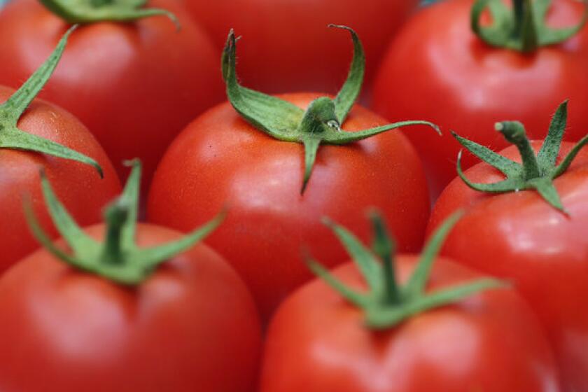 Scientists uncovered one genetic trait that influences tomato flavor.