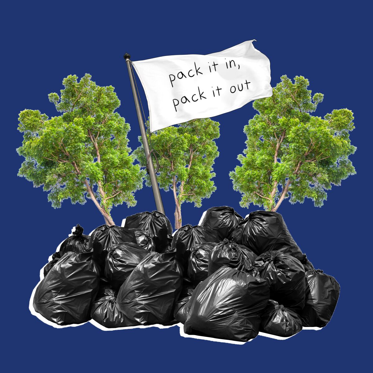An illustration showing garbage bags at the foot of trees.