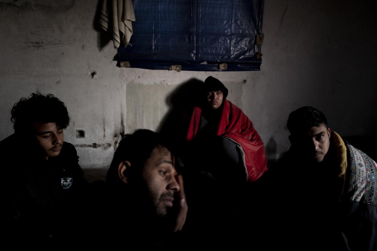 Migrants gather near the Hungarian border, outside of the village of Martonosh, Serbia.