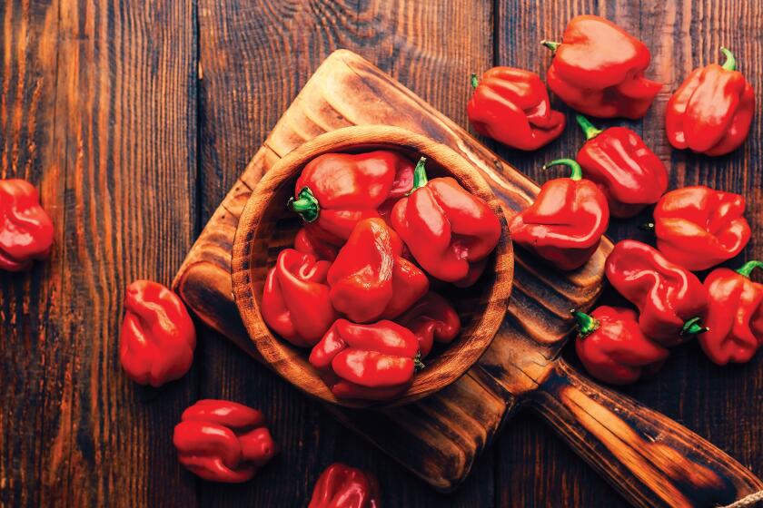 Bowl full of red habanero chili peppers on a wooden backdrop, viewed from above.