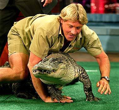 Steve Irwin's mix of gonzo naturalist and snappy commentator on "The Crocodile Hunter" is popular with viewers and producers alike. Production costs are lessened by focusing on human interaction with animals.