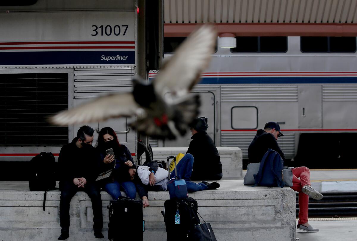 Passengers sit on a train platform behind a flying bird 