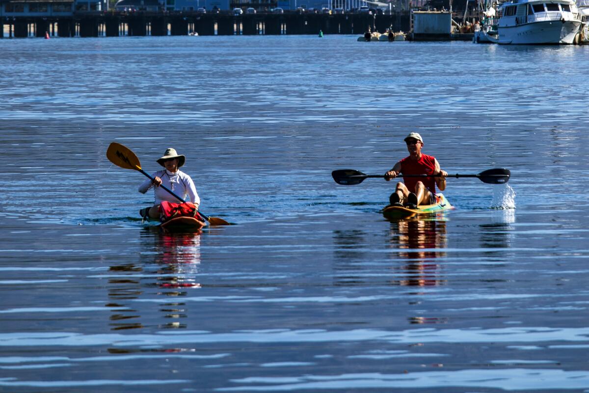 Two kayakers in the ocean in Santa Barbara