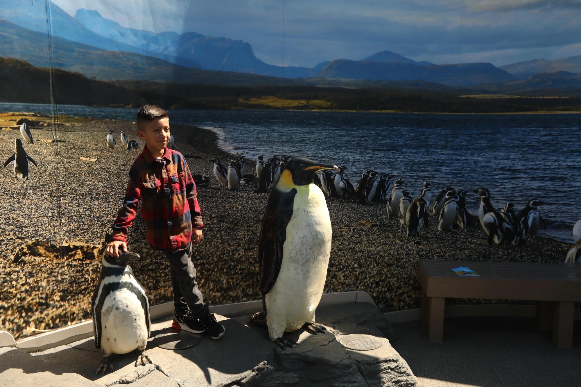 A boy rests his hand on the head of a penguin in an art display.