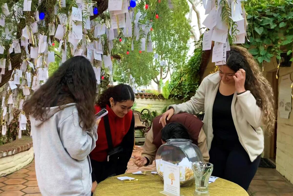Clara Girgis, from left, Mira Sadek, Merna Fahmy and Mira Fahmy write down wishes Friday near Sherman Garden's Wishing Tree.