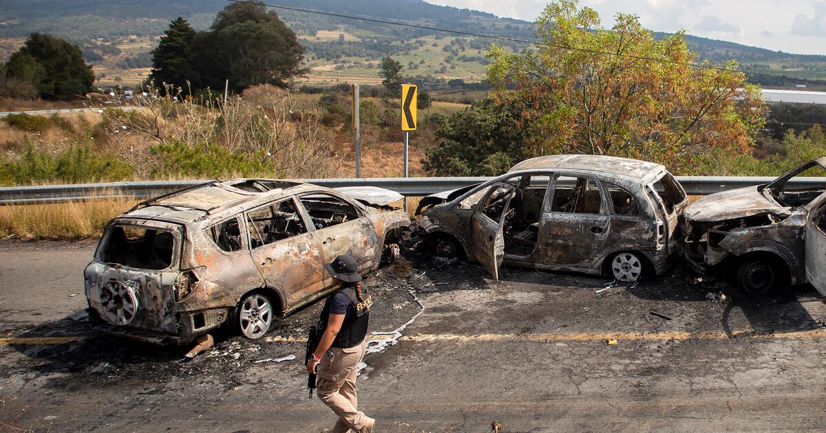 Terugkerende migranten zien dat Mexico getransformeerd is door drugskartels en geweld