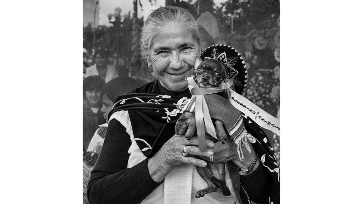 April 18, 1981: Maria Ayalla and her dog are both wearing traditional Mexican attire to the Blessing of the Animals.