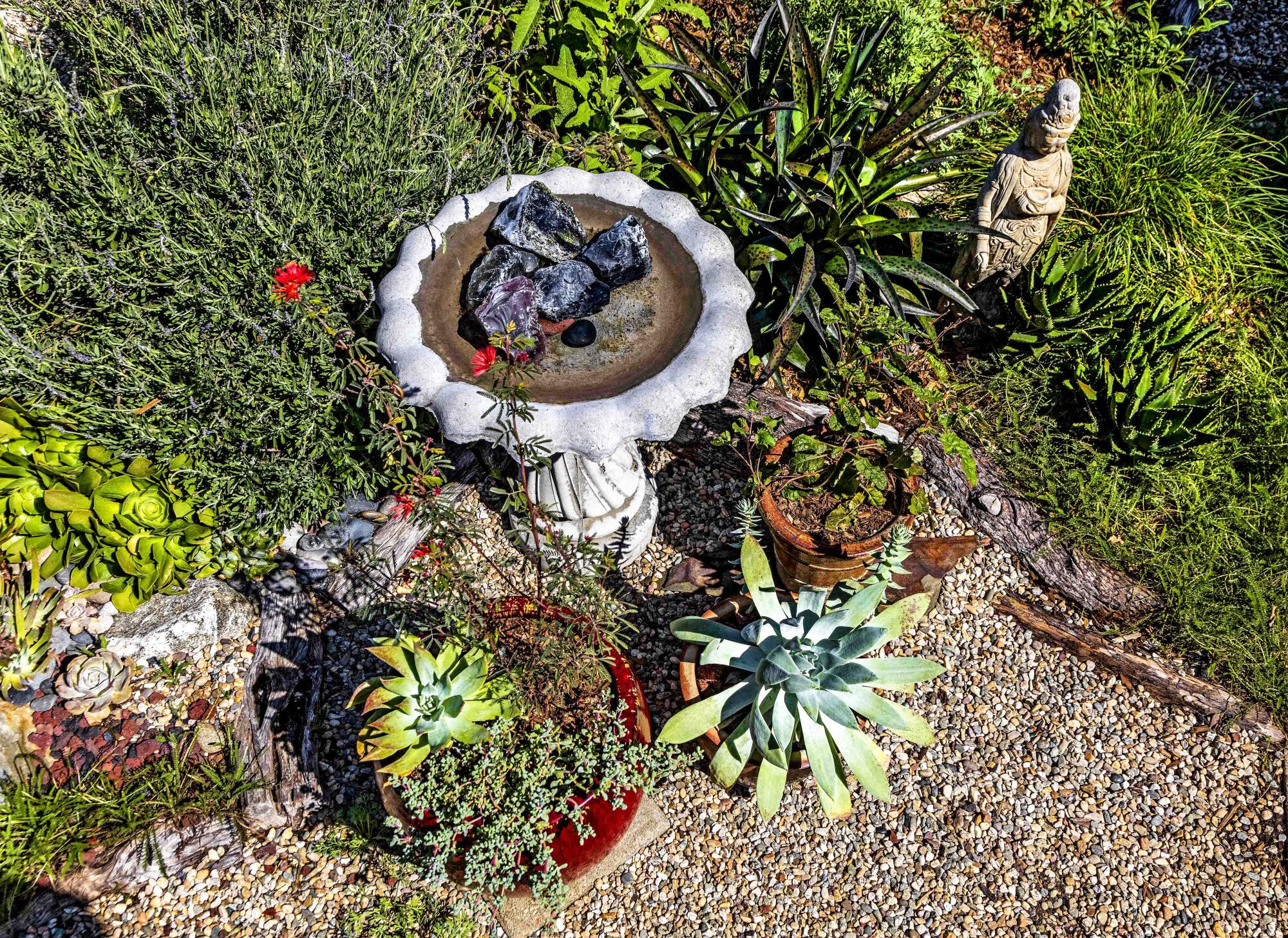 A birdbath surrounded by potted plants and pea gravel