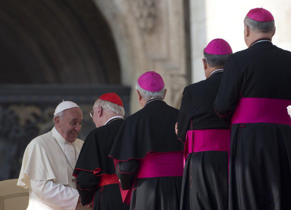 Cardinals and bishops line up to greet Pope Francis at the end of his weekly general audience in St. Peter's Square at the Vatican.