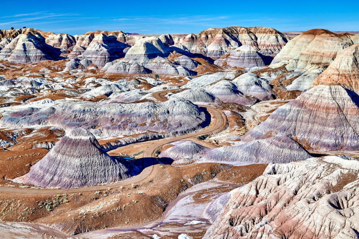 Blue Mesa Petrified Forest National Park