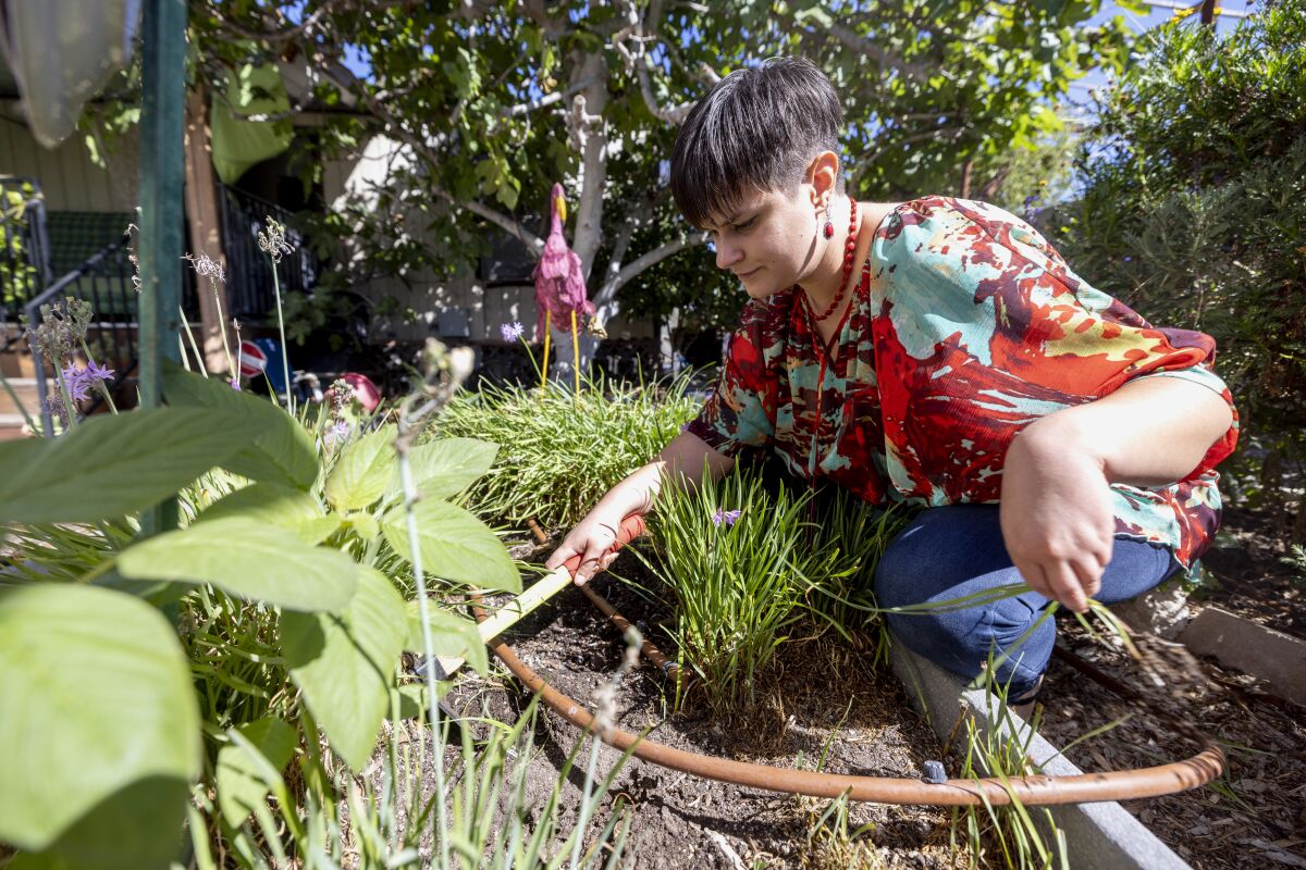 Kelsey Jacobsen, Associate Manager of Environmental Education, weeds a garden box with a hand hoe.