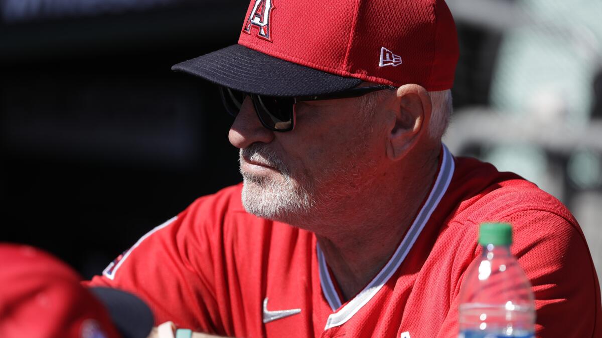 At age 66, Angels' Joe Maddon gets serious about preparation - Los Angeles  Times