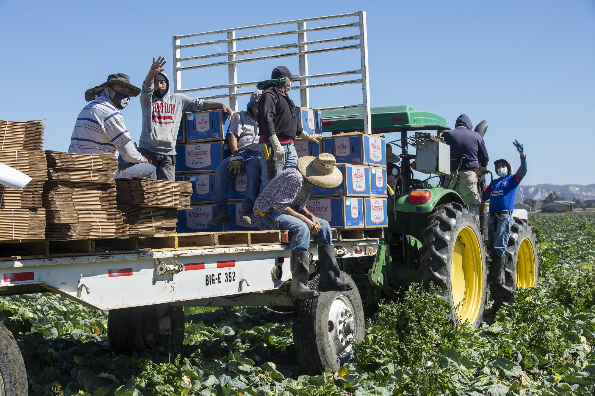 Farmworkers with Big E Produce in Lompoc prepare to take a lunch break after harvesting cabbage.