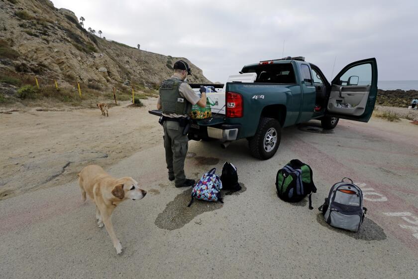 SAN PEDRO, CA - JULY 07: Doug Wall, game warden with the California Department of Fish and Wildlife, confiscates bags of mussels collected without a license at White Point in San Pedro. Beginning about a month ago, scores of people began scouring the tidepools at this location with nearby residents complaining that these excursions have gotten out of hand after lockdown orders were lifted. (Myung J. Chun / Los Angeles Times)