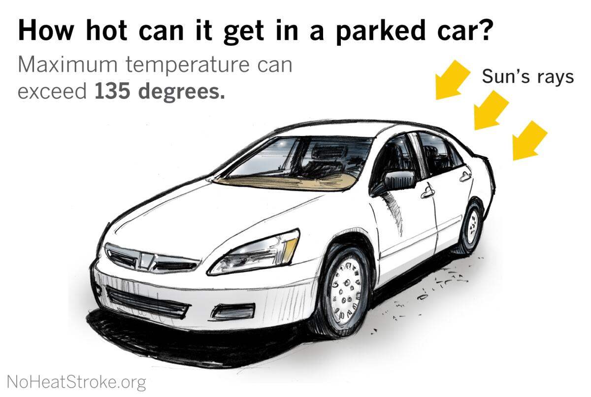 Temperatures can quickly reach deadly levels in an enclosed vehicle, even on relatively cool days.