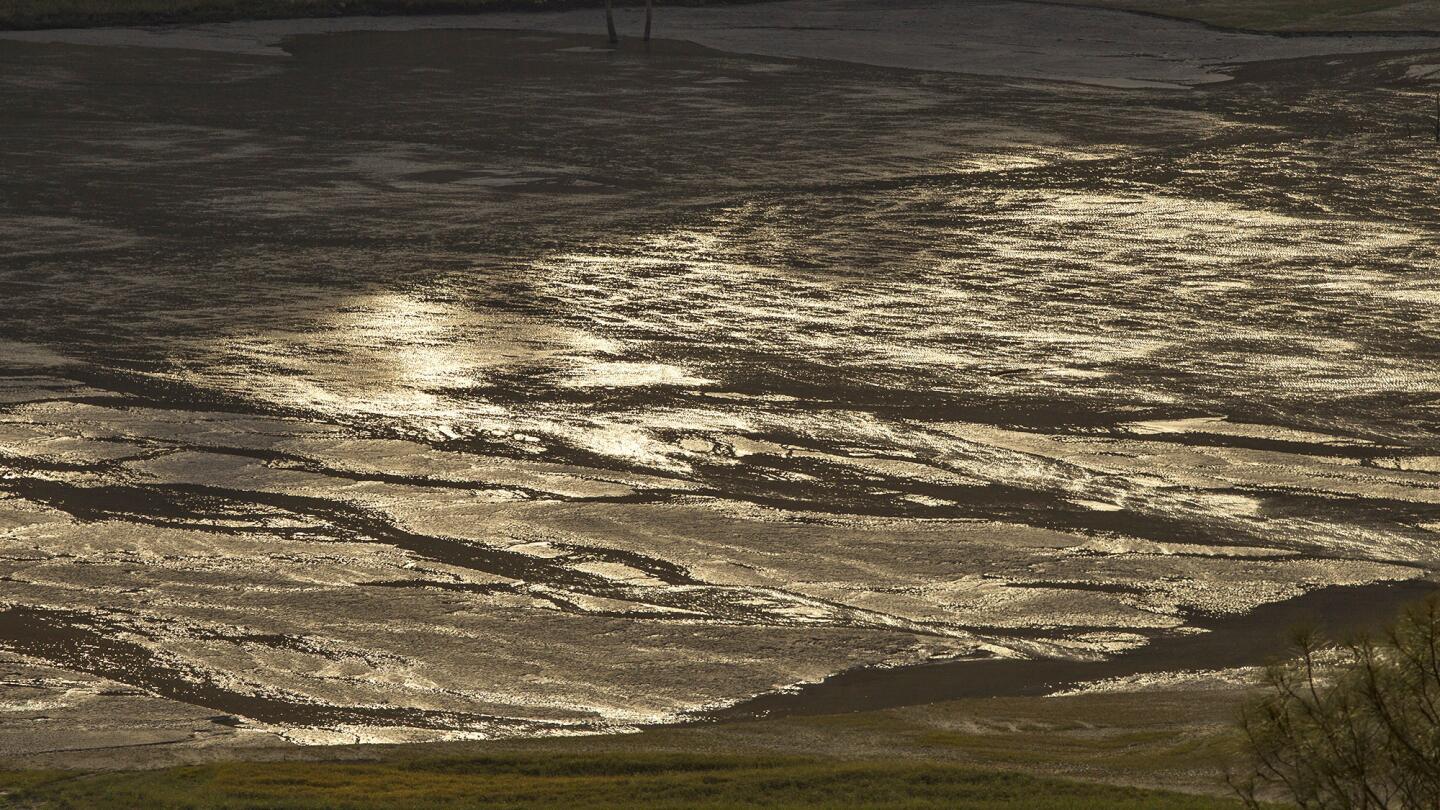 On Assignment: Focusing on the effects of California's persistent drought