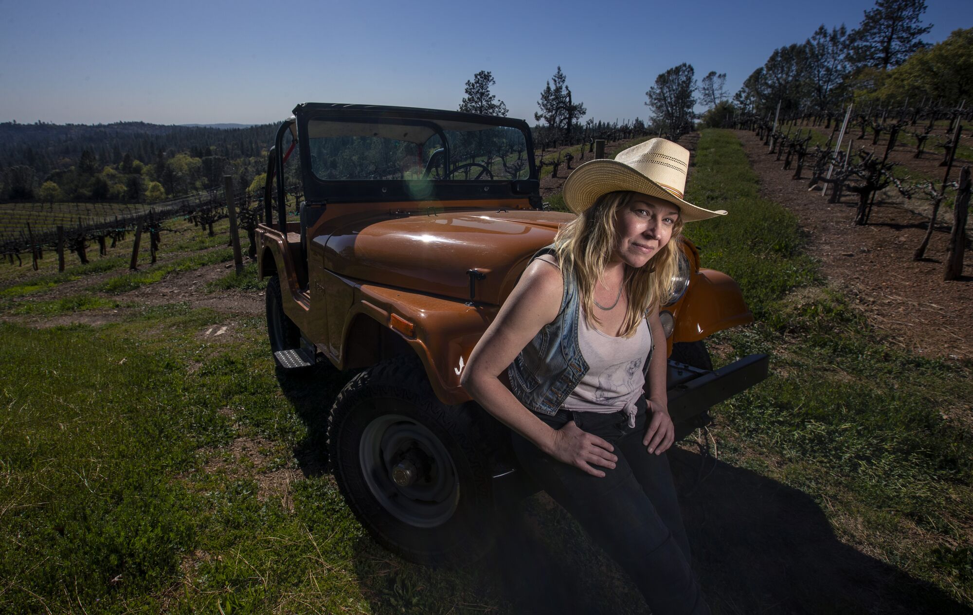 Woman sits on Jeep's bumper parked in front of rows of grapevines