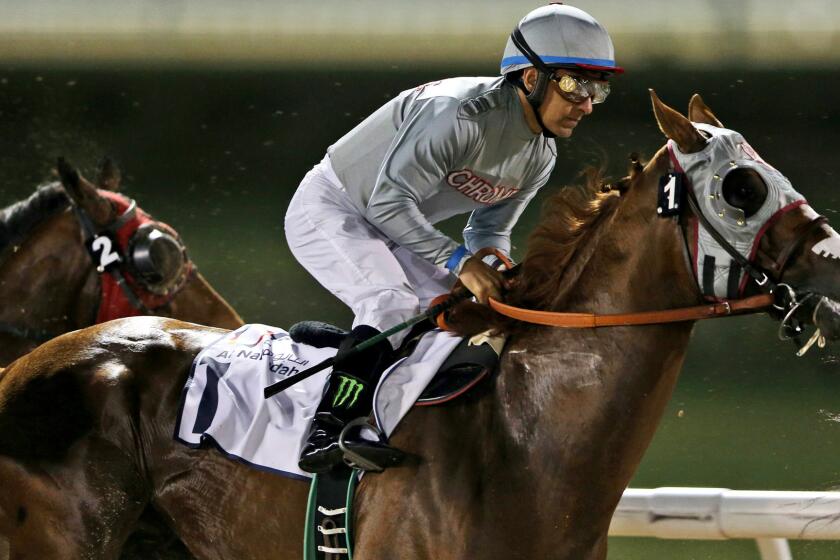 Jockey Victor Espinoza guides California Chrome to victory at Meydan Racecourse in Dubai on Thursday.