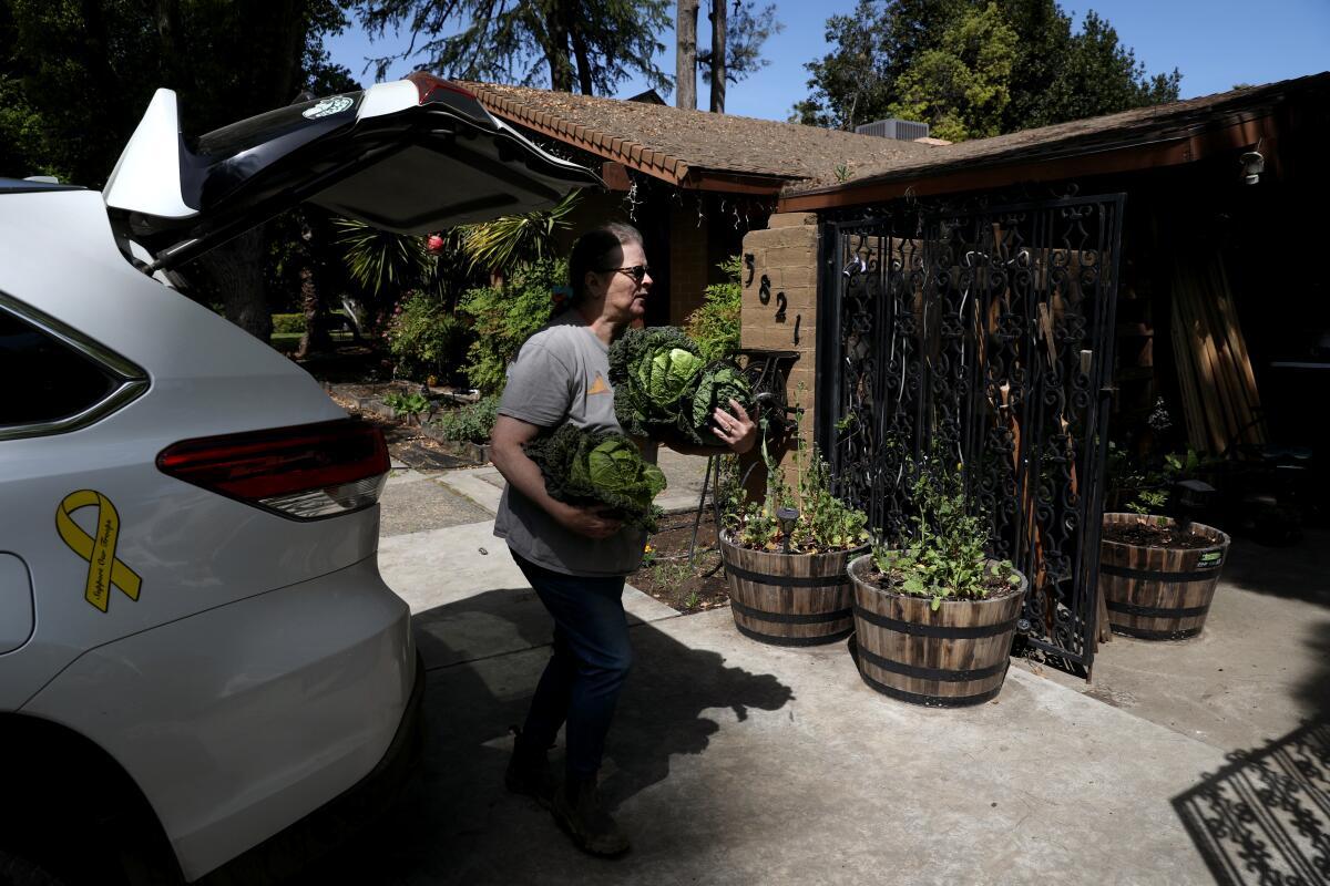 Sherril Wells unloads harvested vegetables planted by her late husband, Rodney Wells, at her home in Fresno.