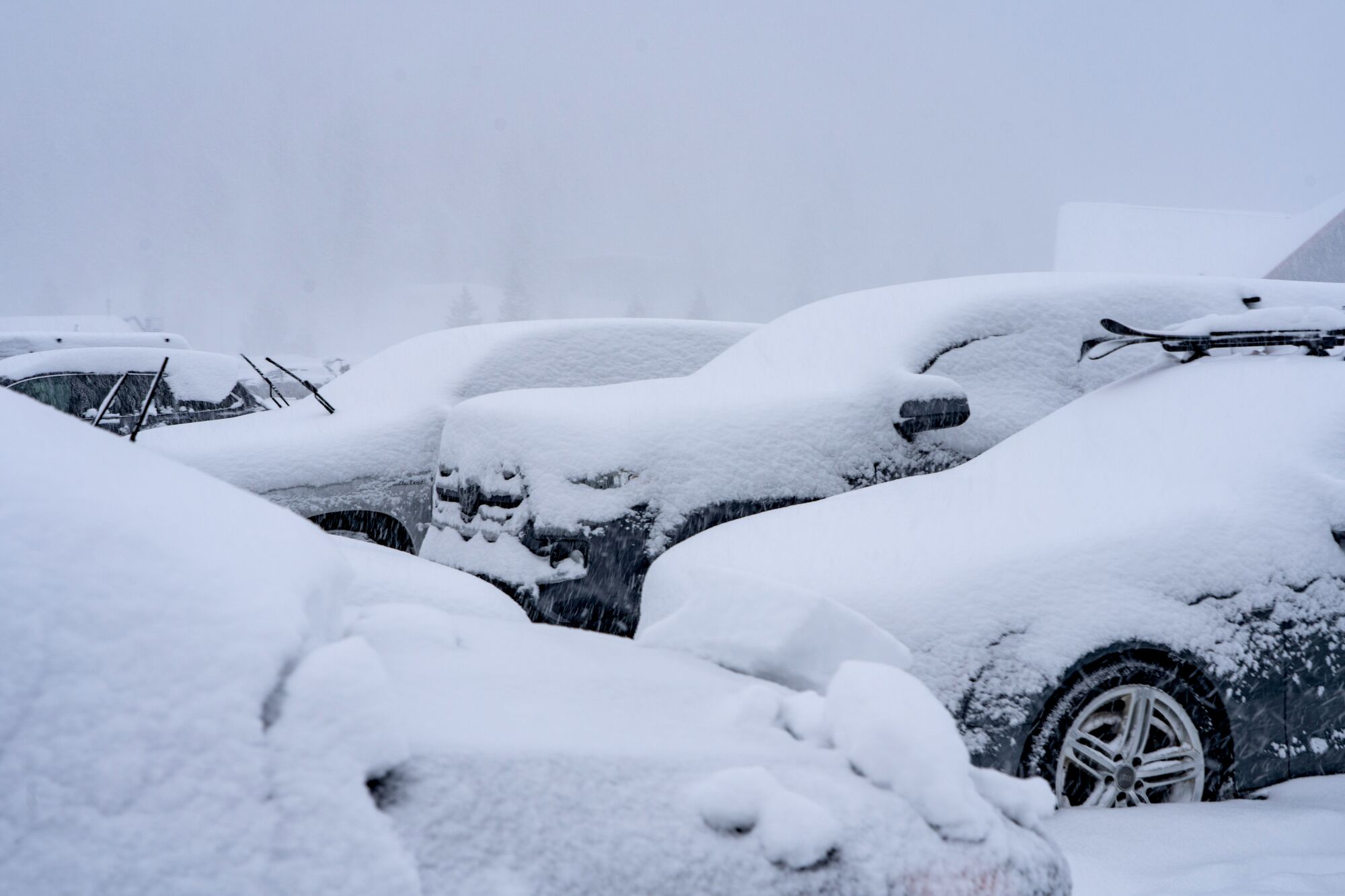 A line of cars covered in heaps of snow. The backdrop is gray and misty.