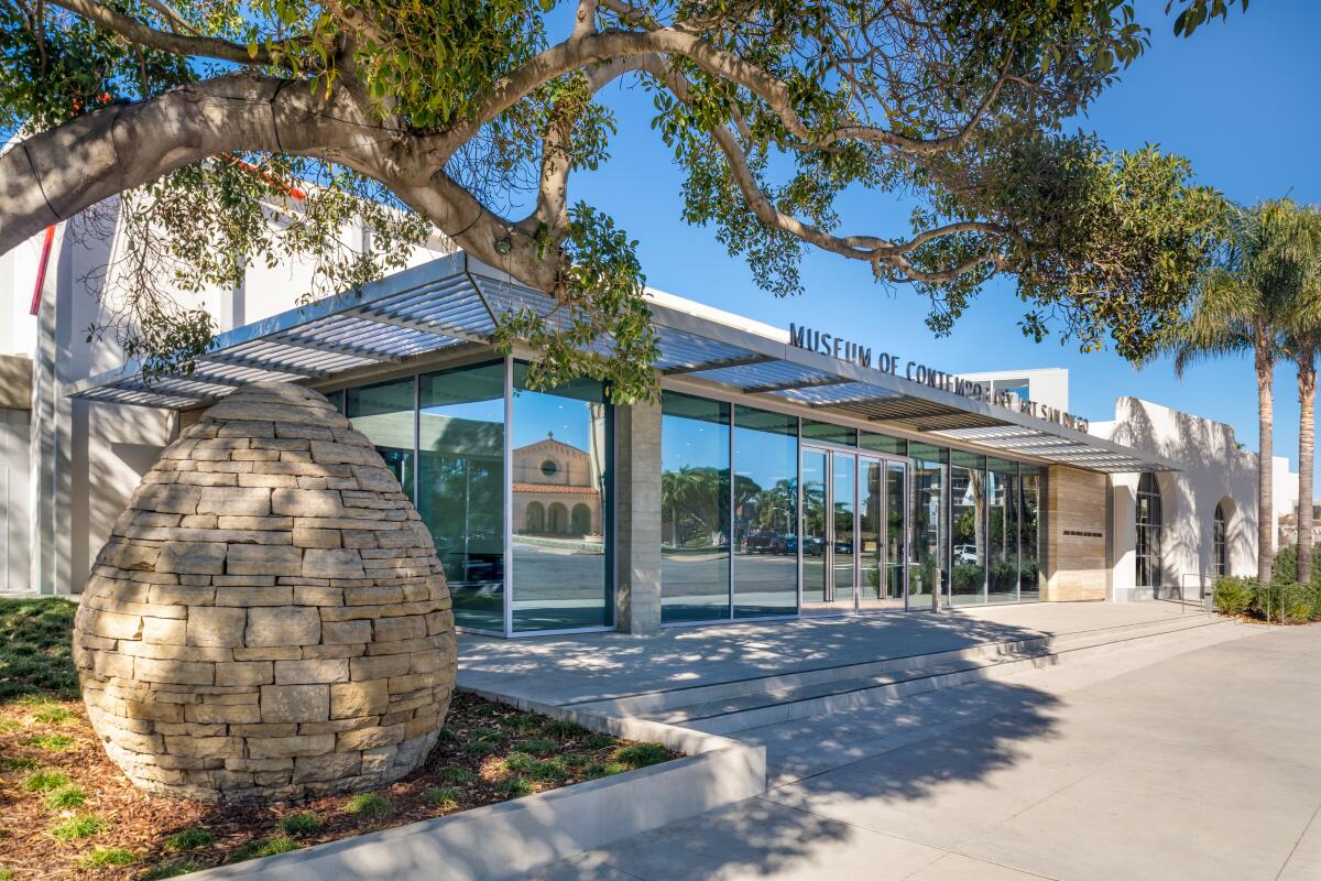 A tree frames a portrait of a contemporary looking glass-fronted building.