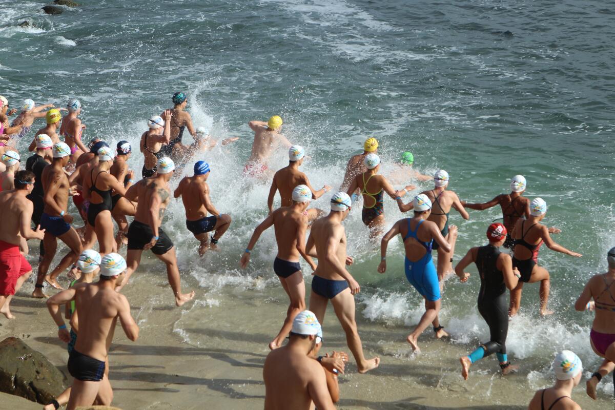 Swimmers in the first heat hit the water in the 2019 La Jolla Cove Swim. This year's event is Sunday, Sept. 11.