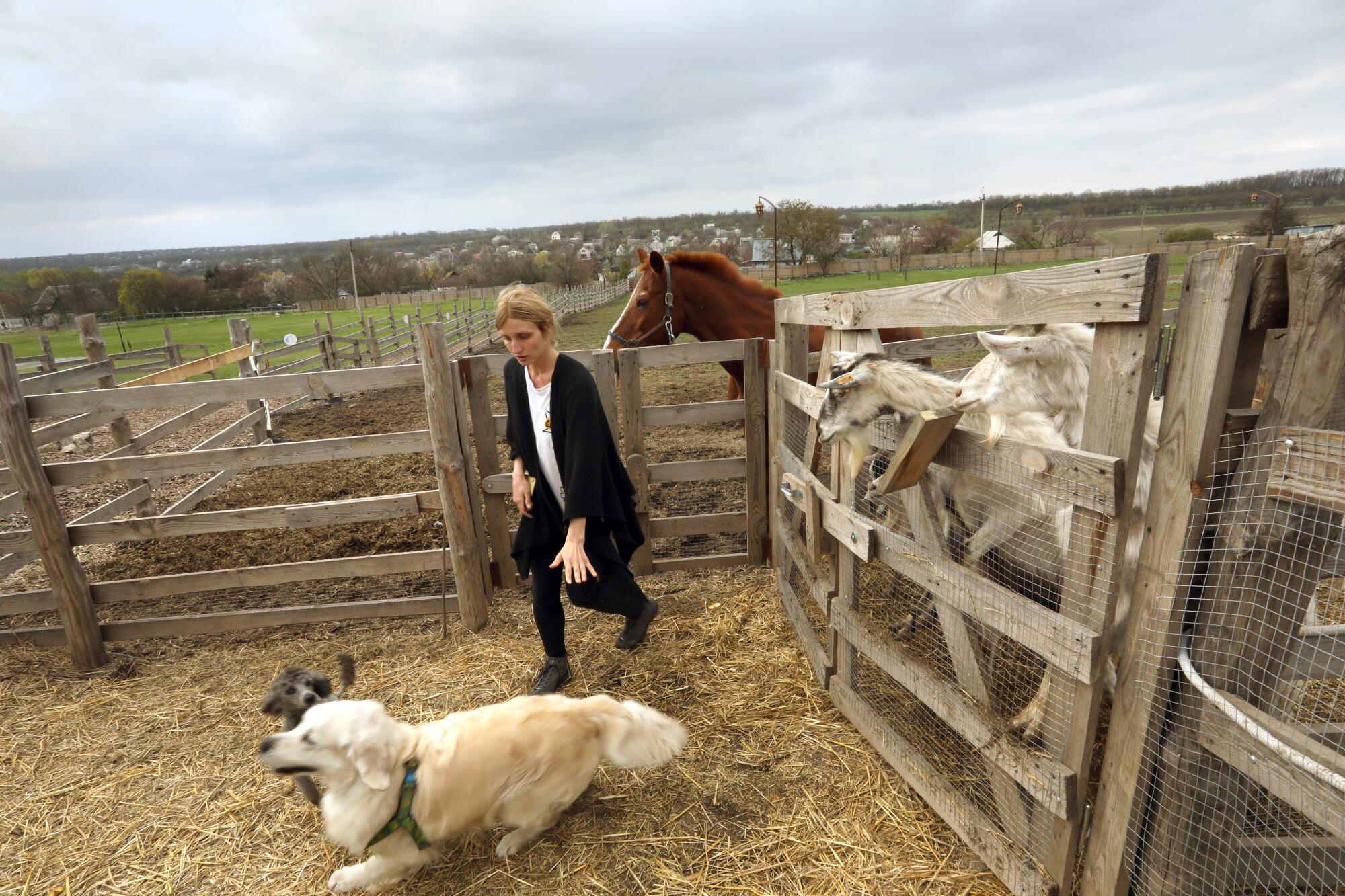 Woman with two dogs on farm