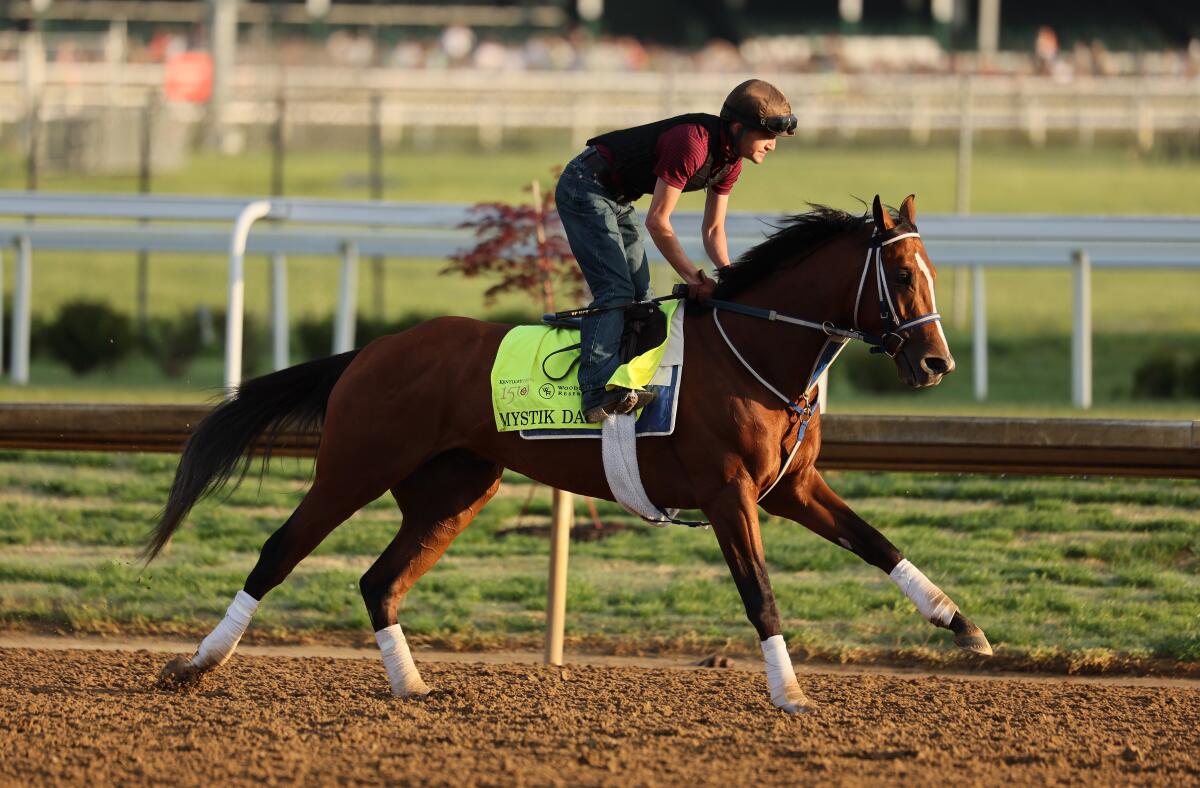 Mystik Dan runs on the track during a workout at Churchill Downs 