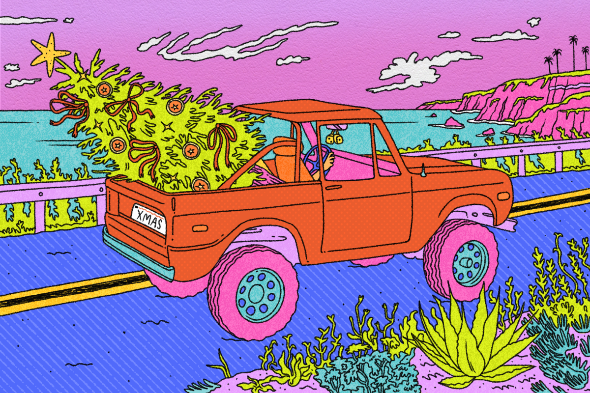 A Christmas tree in the back of a truck