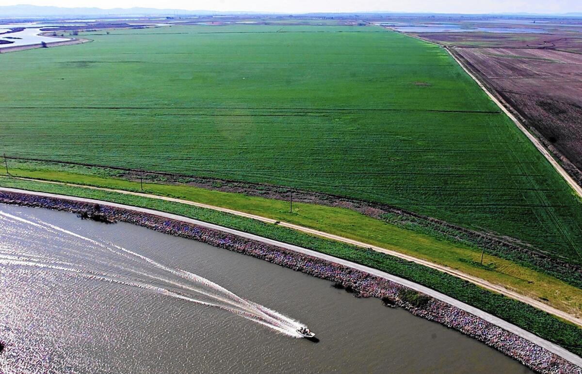 A boat passes Webb Tract farmland as it makes its way through the Sacramento-San Joaquin River Delta.