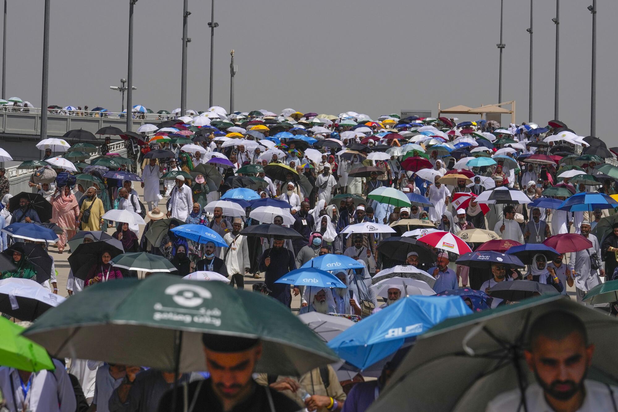 人山人海，撑着五颜六色的雨伞